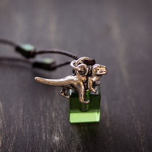 May include: A silver dinosaur charm hangs from a brown cord necklace. The charm is attached to a small green glass bottle.
