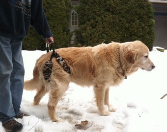 May include: A golden retriever wearing a patterned support harness stands in the snow. The dog is on a leash held by a person wearing blue jeans and a dark blue sweatshirt. The dog has a silver collar.
