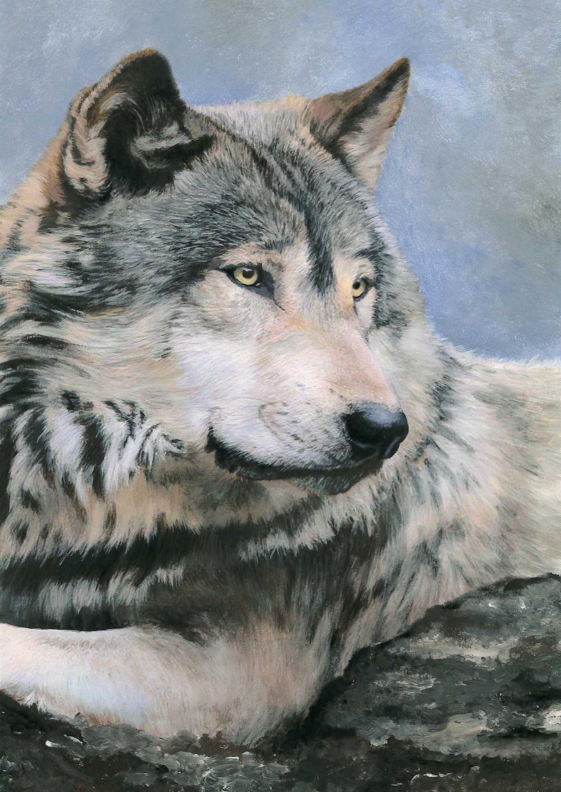 Friduwulf peaceful wolf image 1