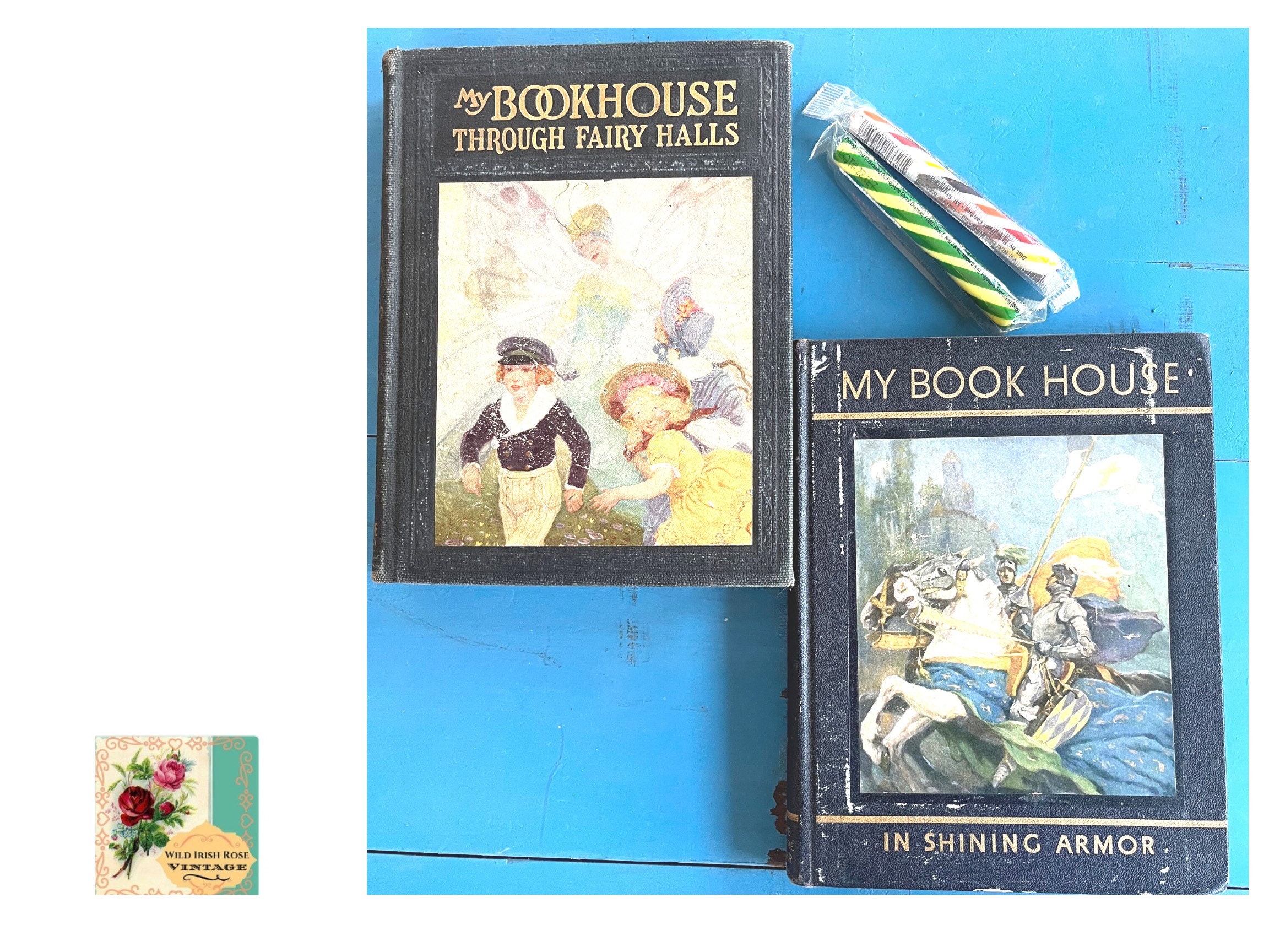 Vintage Textbooks (Set of 3) – A House of Books