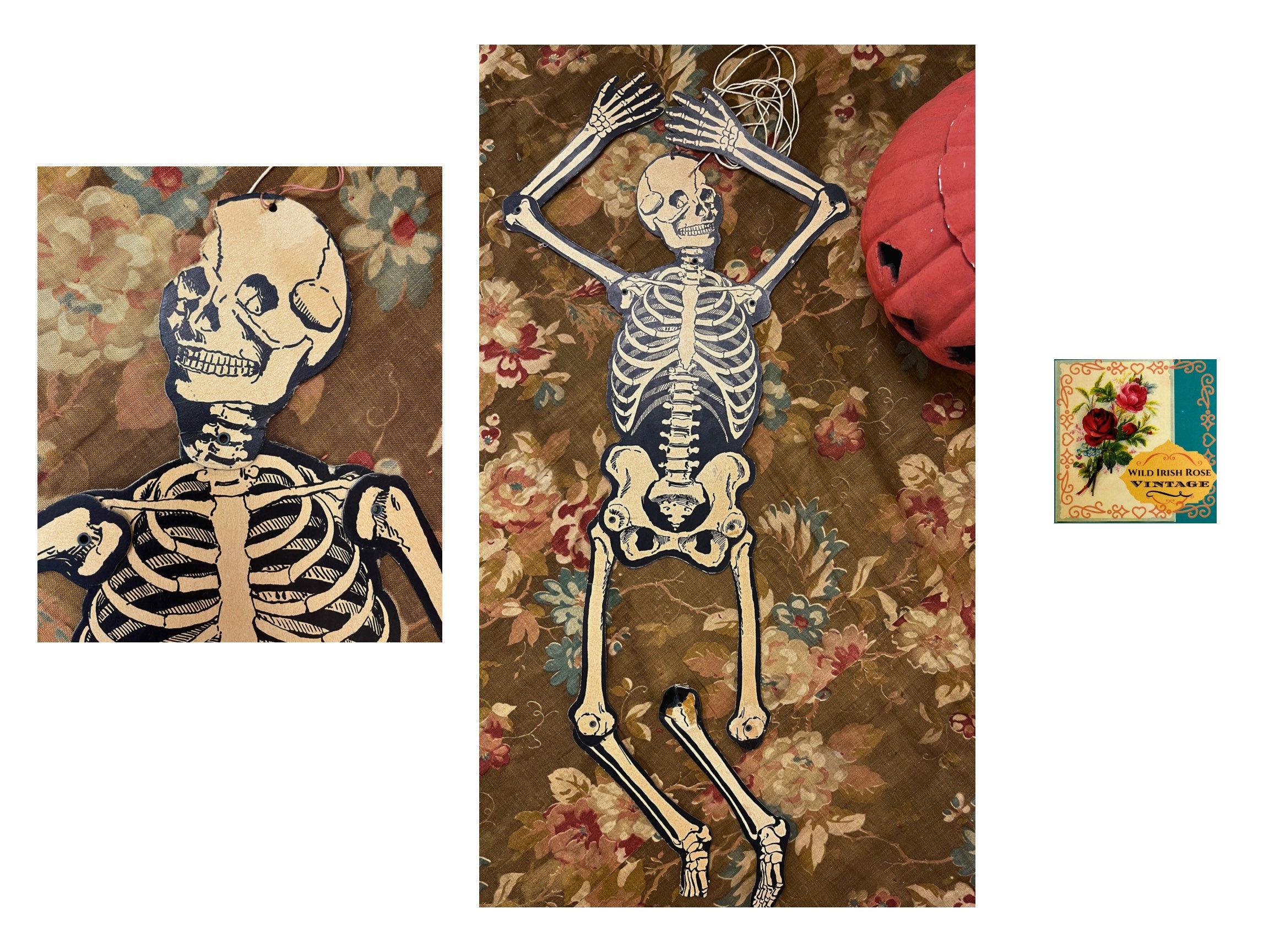 Right - Skeleton On Etsy