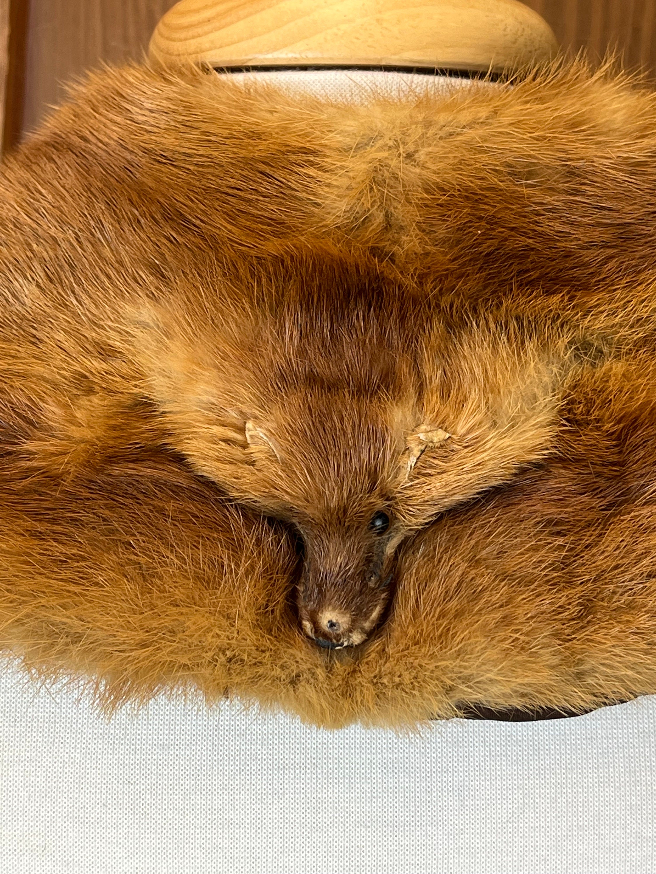 Antique Victorian Fur Piece With a Fox Head Antique Edwardian 