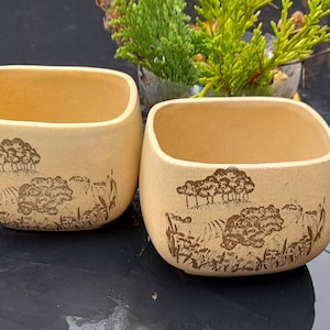 以下が含まれることがあります： ベージュ色の正方形のセラミックプランター2つ。角は丸みを帯びています。各プランターには、木や畑が描かれた茶色の風景デザインがあります。プランターは暗い表面に表示されています。