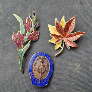2 Assorted Brooches & A Badge~ A F A Bronze Enamel Foil Badge Signed ~ Gold Tone Enamel Freesia Flower Brooch ~ Autumn Leaf pendant Brooch