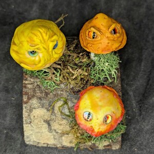 Jaundice Mush Group
