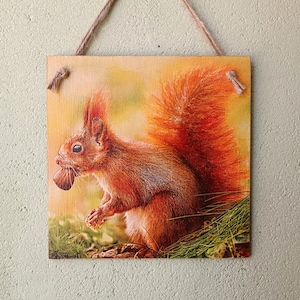 Forest Brown Squirrel sign, Wall hanging plaque/picture forest animal country art, Squirrel lover gifts, Squirrel with hazelnut
