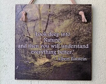 Nature Quote Wall Art, Inspirational Einstein Quote Sign, Rustic Forest Decor, Mindfulness Wall Hanging, Nature Lover Gift
