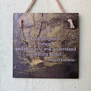 Albert Einstein inspirational saying sign, Nature lover Quote wall art, Best friend motivation gift, Wooden hanging, Saying sign
