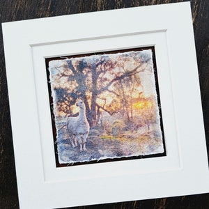 Fox Hill Farm - Etsy