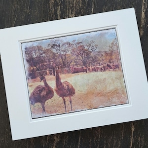 Fox Hill Farm - Etsy