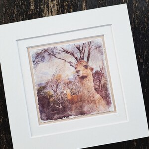 Fox Hill Farm - Etsy