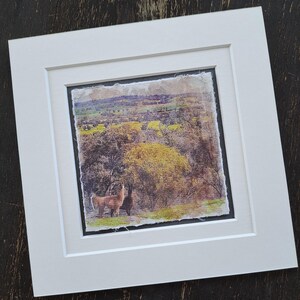 May include: A framed photograph of a rural landscape with two llamas in the foreground. The landscape is a mix of green and brown fields with trees in the background. The llamas are brown and white and are standing in a field of yellow flowers.