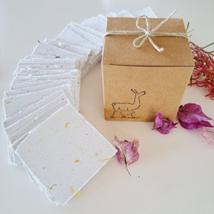 May include: A brown cardboard box with a white string tied around it. The box has a drawing of a llama on the front. The box is sitting on a white surface with a pile of white paper squares with yellow and brown flecks. There are also some dried pink flowers on the surface.