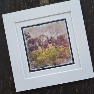 Fox Hill Farm - Etsy