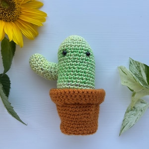 Digital Crochet Pattern ~ Cactus Amigurumi Step-by-Step Beginner-Friendly Desert Vibes Succulent Garden Southwestern Kids Room Decor Caravan