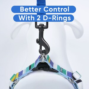 May include: A blue and green striped dog harness with two D-rings and a black clip. The text "Better Control With 2 D-Rings" is written in blue on a white background.