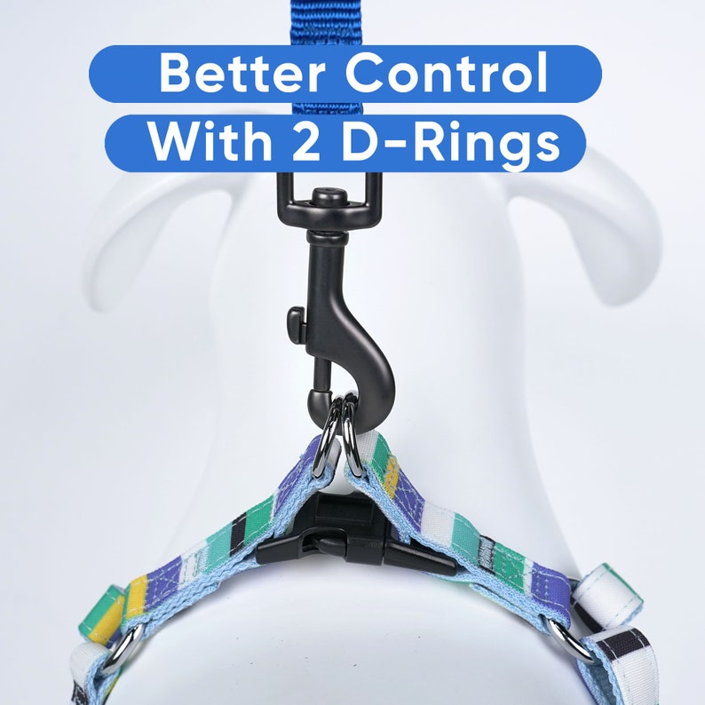 May include: A blue and green striped dog harness with two D-rings and a black clip. The text "Better Control With 2 D-Rings" is written in blue on a white background.