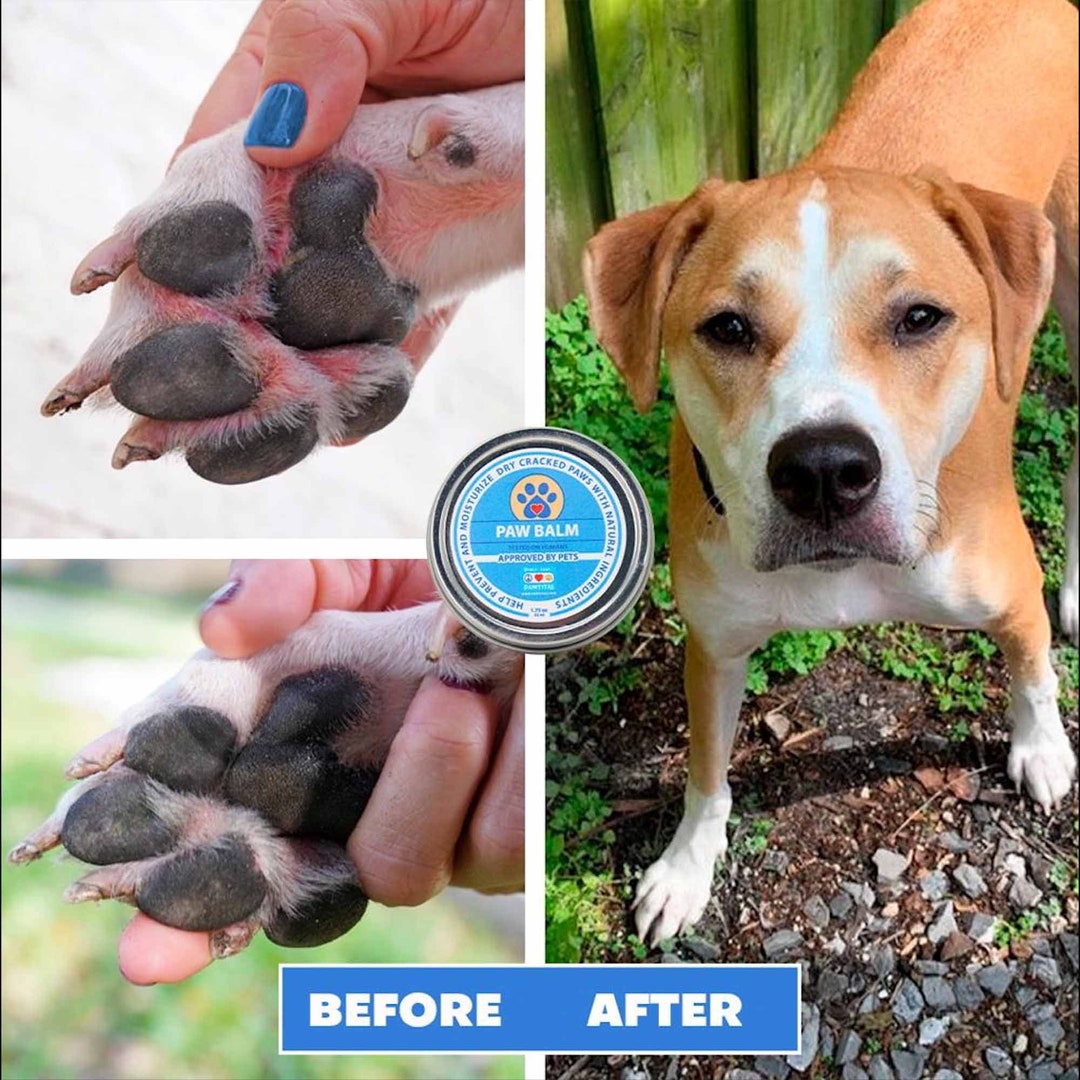 Bag Balm On Dog Paws at Carmel Walker blog