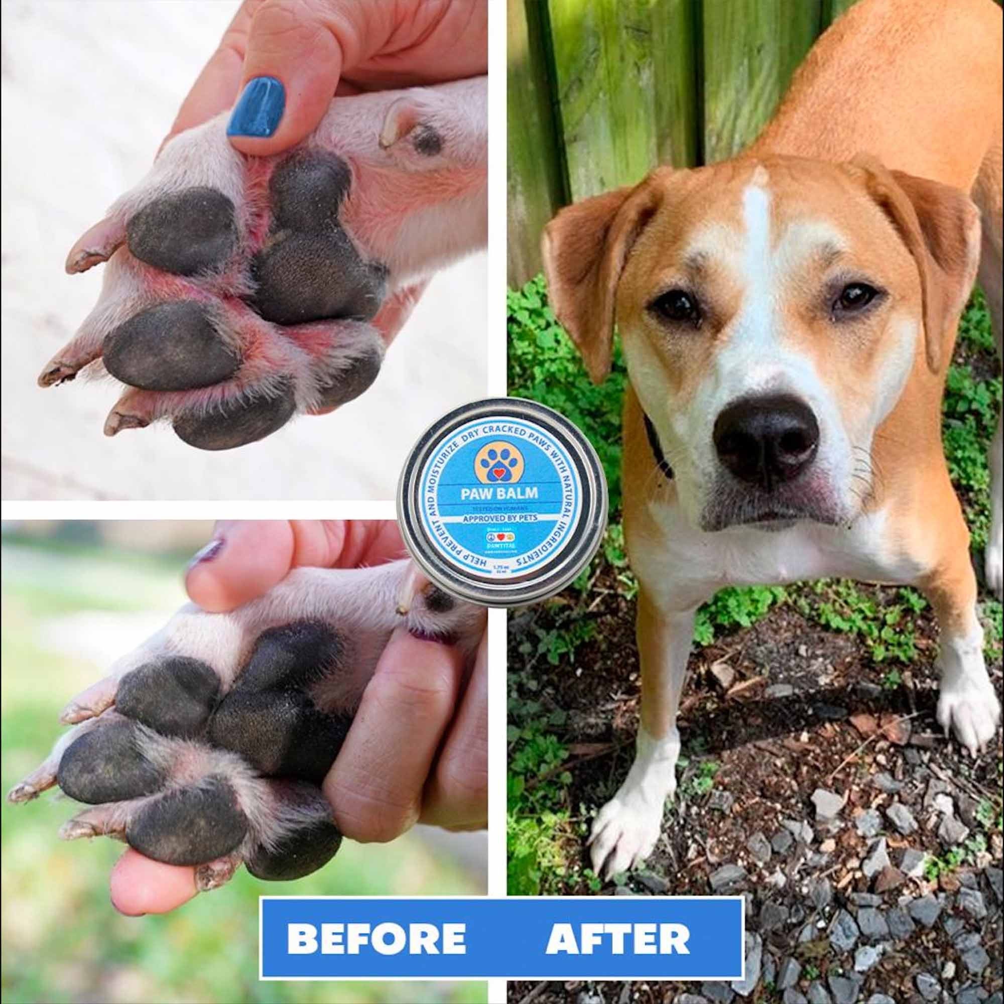 Dog Paw Healing Cream stickhealthcare.co.uk