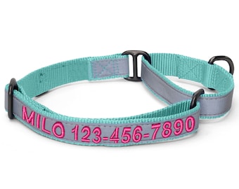 Personalized Martingale Dog Collar, Custom Dog Collar with name and phone number, Martingale Dog Collar, Buckle, Embroidered Designer Collar