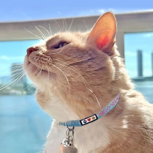 May include: A light brown cat with white fur on its chest and chin looks up at the sky. The cat is wearing a blue and pink collar with a peace sign, a heart, and a paw print charm. The collar also has the text "Milo 1234" on it.