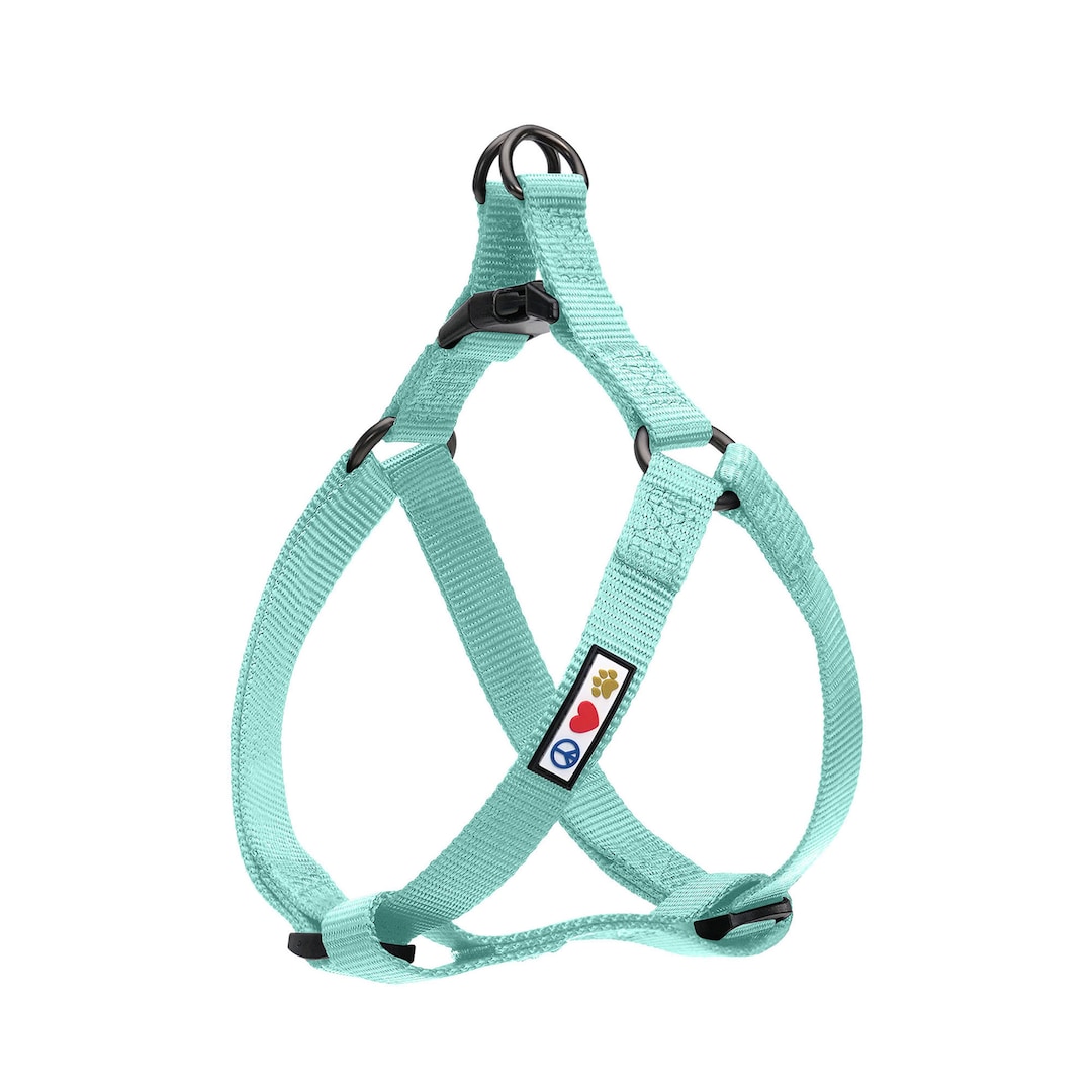 Pawtitas dog harness 2025