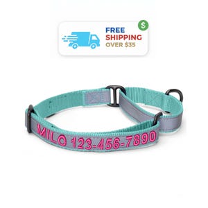 Personalized Martingale Dog Collar: Embroidered Custom Name & Number