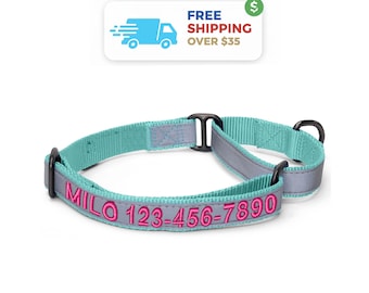 Personalized Martingale Dog Collar: Embroidered Custom Name & Number