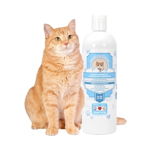Cat Shampoo and Conditioner Fragrance Free Shampoo for Cats Pet Shampoo Organic Cat Shampoo 16 OZ