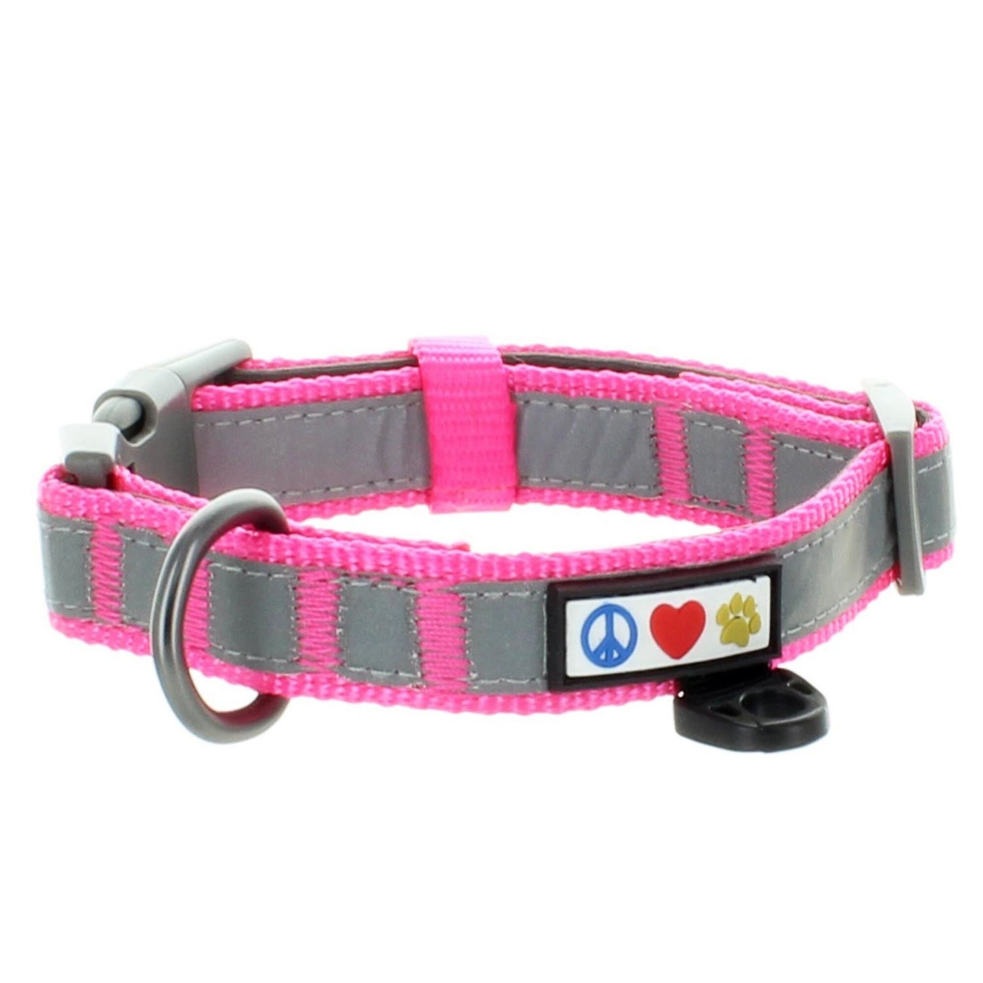 Pawtitas Collar Para Perros Ideal Para Adiestramiento - Cómodo Y Duradero Con Anillo De Metal Para Etiqueta De Nombre - Color Turquesa XS