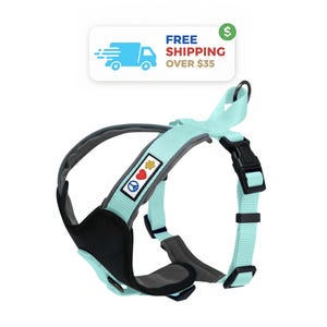 Padded Dog Harness: Soft, Adjustable, Reflective Pet Training