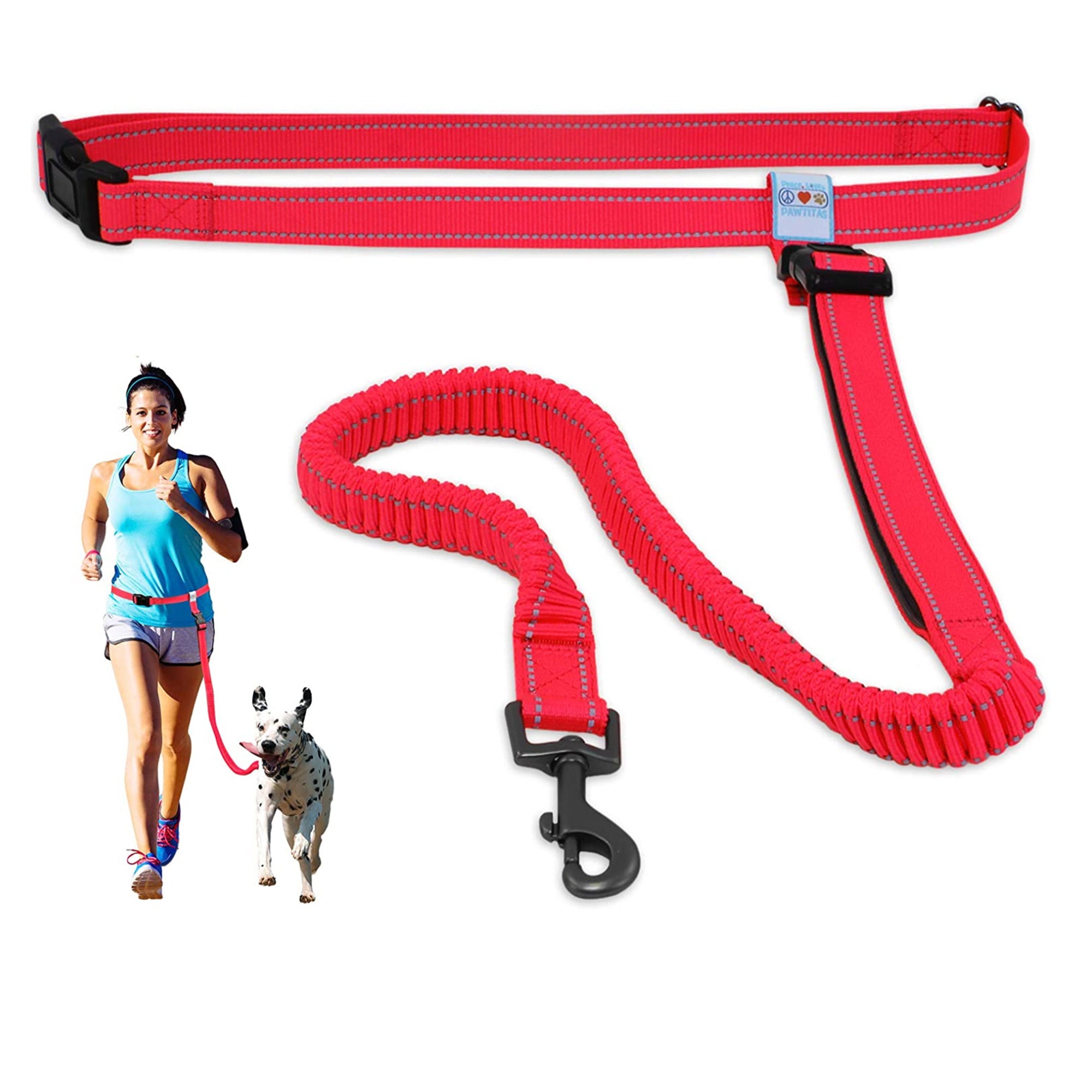 anti shock leash