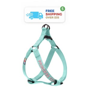 Personalized Dog Harness: Embroidered Nylon, Custom Name & Number