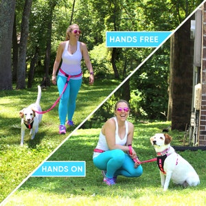 Dog Leash Handsfree Reflective Padded Anti - shock Outdoor Training Running Dog Leash by Pawtitas