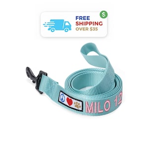 Personalized 6 ft Dog Leash: Solid Color Nylon, XS-Large