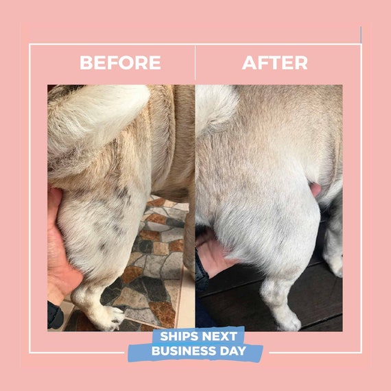 What Can You Give A Dog For Skin Allergies