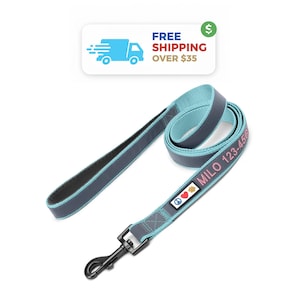 Personalized Reflective Dog Leash: Padded Handle, Fun Colors, 6 ft