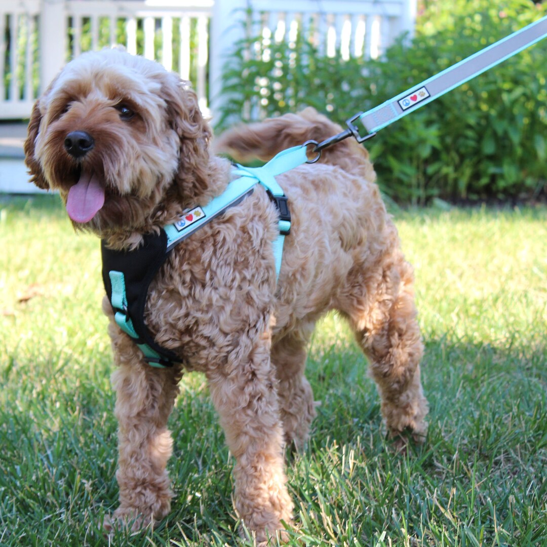 Dog Harness Padded Pet Training Dog Harness Soft Adjustable Reflective