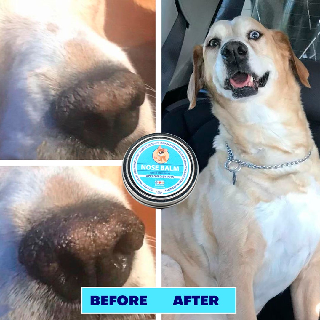 Dog Nose Balm All Purpose Healing Salve for Dry Nose Chapped Etsy