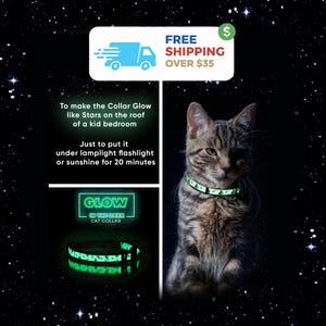 Glow in The Dark Cat Collar: Breakaway Safety Buckle, Removable Bell