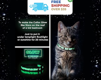 Glow in The Dark Cat Collar: Breakaway Safety Buckle, Removable Bell