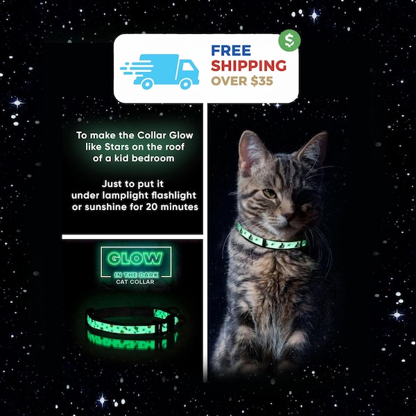 Glow in The Dark Cat Collar: Breakaway Safety Buckle, Removable Bell