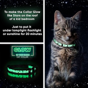 Light up cat best sale collar