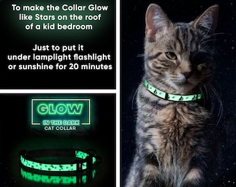 Cat Collar “Glow in The Dark” Cat Collar Breakaway Safety Buckle Removable Bell Cat + Kitten Cat Collar by Pawtitas