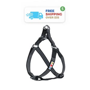 Reflective Step-In Dog Harness: Comfort Control Training Vest