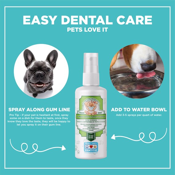 dog bad breath add to water