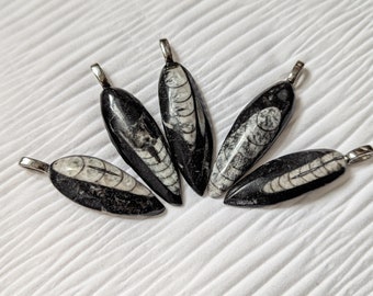 Orthoceras Fossil Necklace