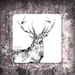 see more listings in the Wildlife/Nature Coasters section