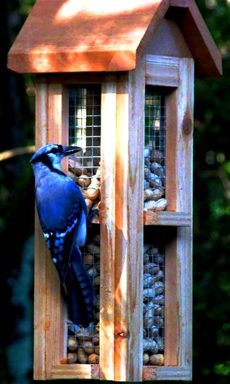 Beautiful cedar wood whole peanut bird feeders Unique bird feeders for blue jays and woodpeckers image 1