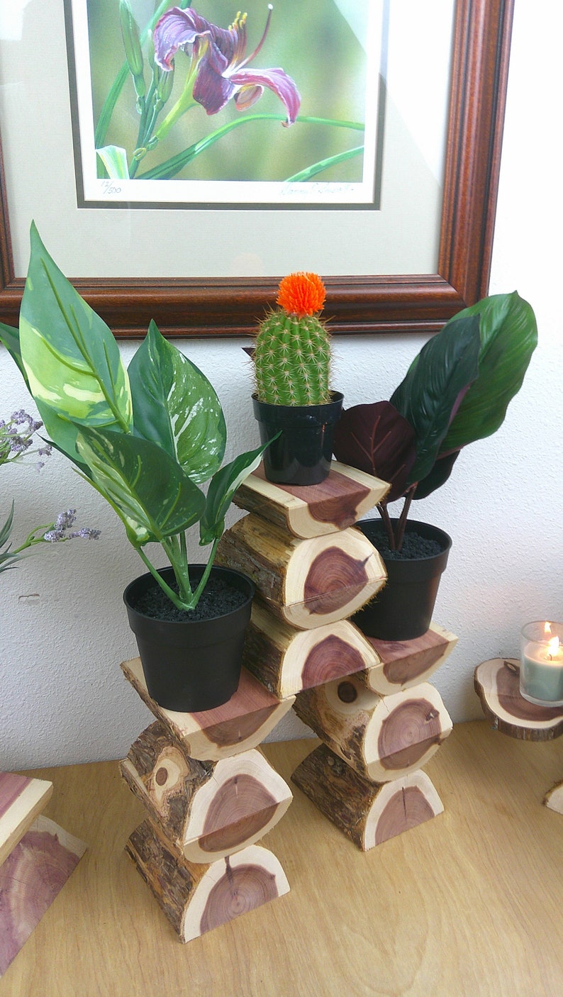 Pinterest Plant Riser Rustic Wood Display Riser, Plant Riser - Handmade Wooden Block Risers ...